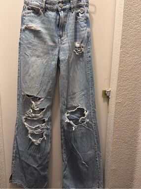 AE Dreamy Drapey Super High-Waisted Baggy Wide-Leg Jean NWT